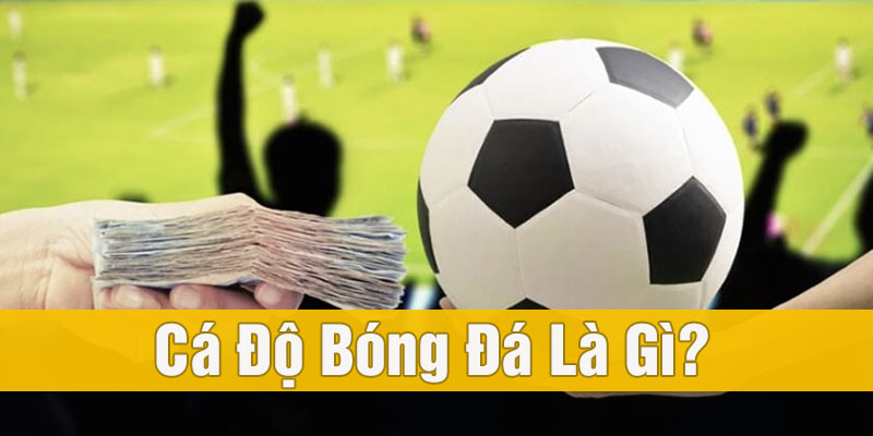 cá độ bóng đá là gì