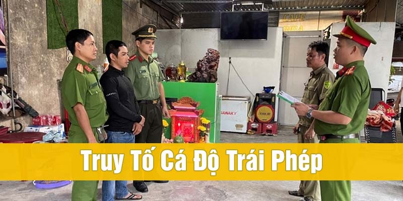 cá độ bóng đá có hợp pháp không