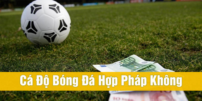 Cá độ bóng đá có hợp pháp không? Luật cá cược tại Việt Nam