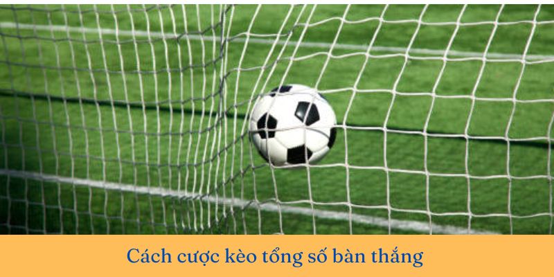 Cách cược kèo tổng số bàn thắng 