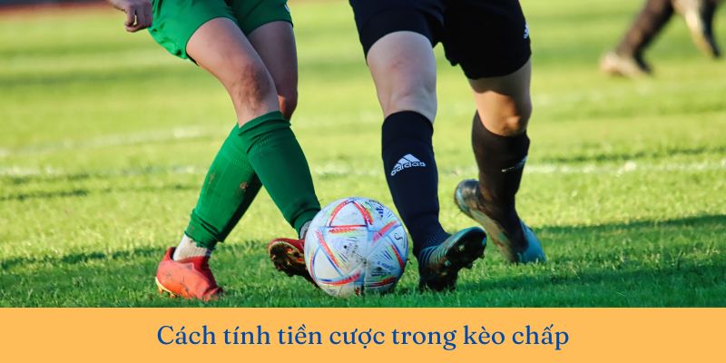 kèo chấp là gì 