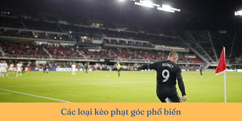 kèo phạt góc là gì 