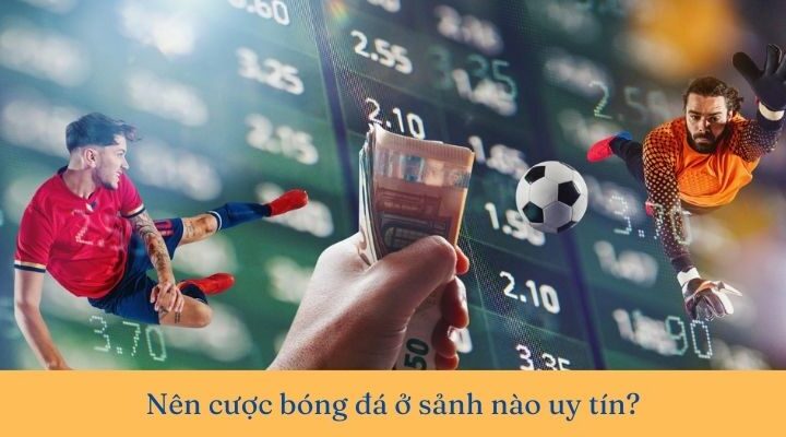 Nên cược bóng đá ở sảnh nào uy tín, thưởng cao hấp dẫn?