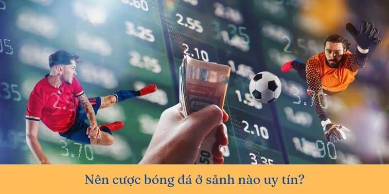 Nên cược bóng đá ở sảnh nào uy tín, thưởng cao hấp dẫn?