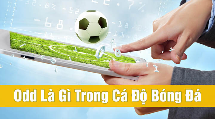 Odds là gì trong cá độ bóng đá? Tổng hợp tỷ lệ thường gặp