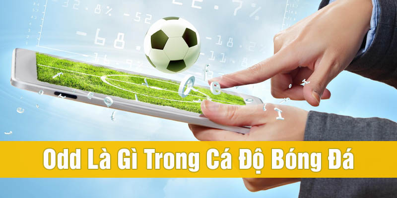 Odds là gì trong cá độ bóng đá? Tổng hợp tỷ lệ thường gặp