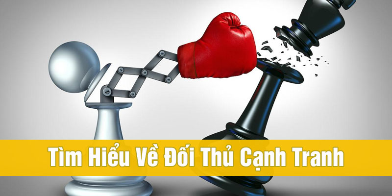 thầu bóng cá cược