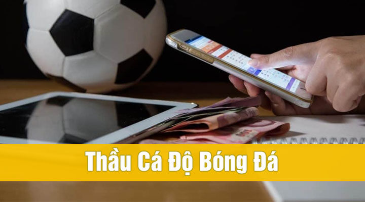 Thầu cá độ bóng đá là gì? Muốn làm thầu banh cần gì?