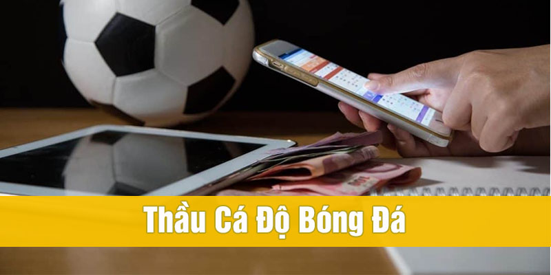 Thầu cá độ bóng đá là gì? Muốn làm thầu banh cần gì?