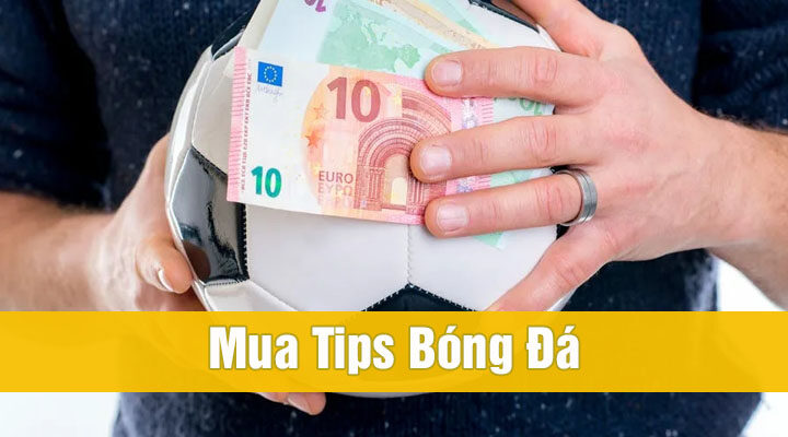 Tips bóng đá là gì? Lật tẩy tip lừa đảo và cạm bẫy ẩn dấu