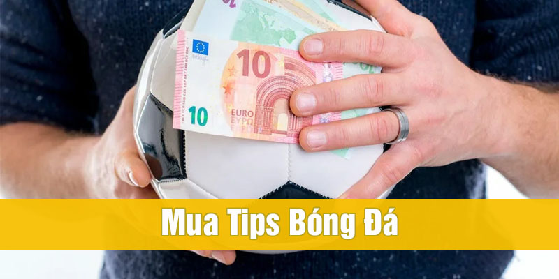 Tips bóng đá là gì? Lật tẩy tip lừa đảo và cạm bẫy ẩn dấu