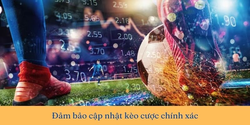 Website xem cá độ bóng đá cho dân cược