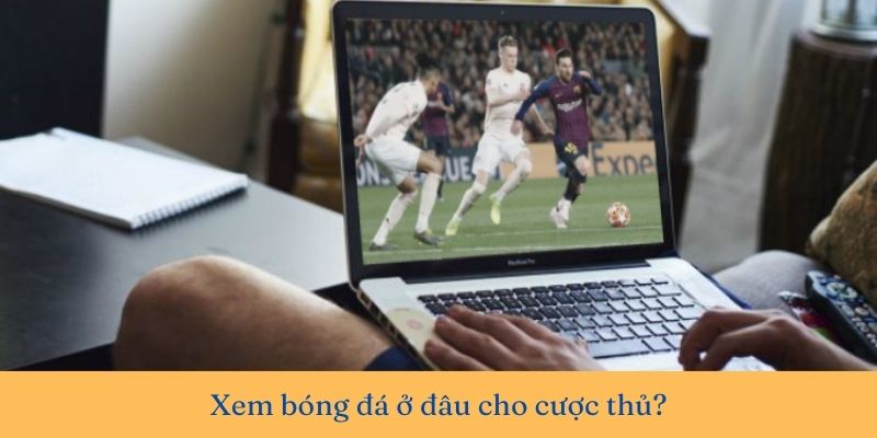 Giải đáp xem bóng đá ở đâu cho cược thủ đảm bảo chuyên nghiệp và uy tín