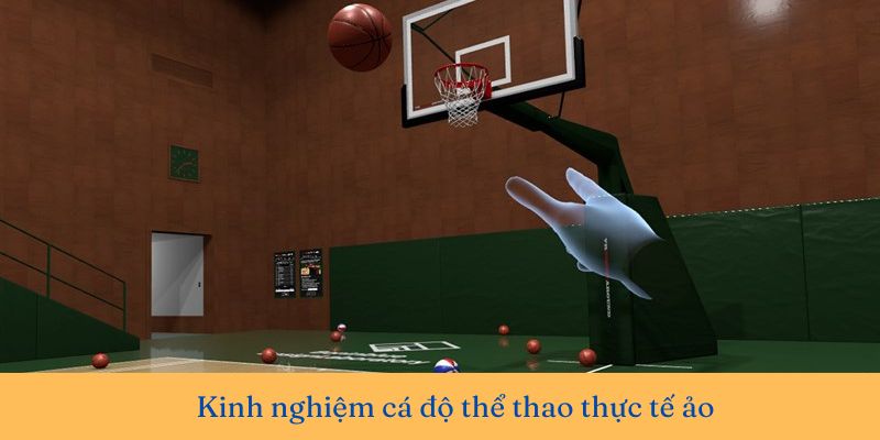 Cá độ thể thao VR