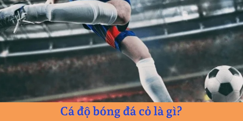 Cách chơi cá độ bóng đá cỏ là cược cho những trận có ít người biết đến 