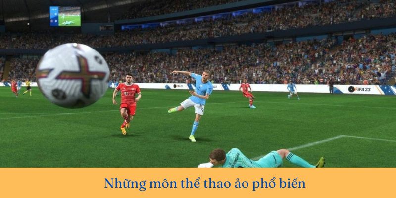 Thể thao VR